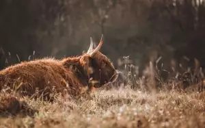 Jak Odhlučnit Dveře Mezi Pokoji